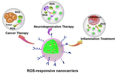 Biomedical Application of Reactive Oxygen Species–Responsive Nanocarriers in Cancer, Inflammation, and Neurodegenerative Diseases